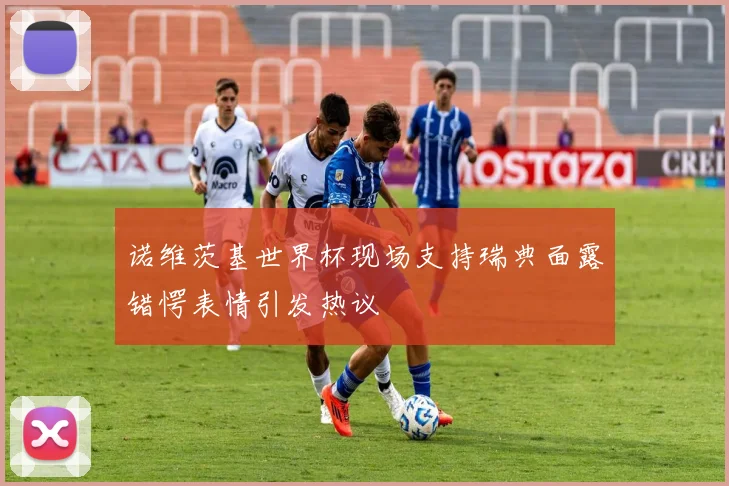 诺维茨基世界杯现场支持瑞典面露错愕表情引发热议