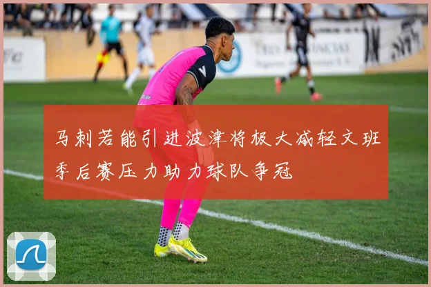 马刺若能引进波津将极大减轻文班季后赛压力助力球队争冠